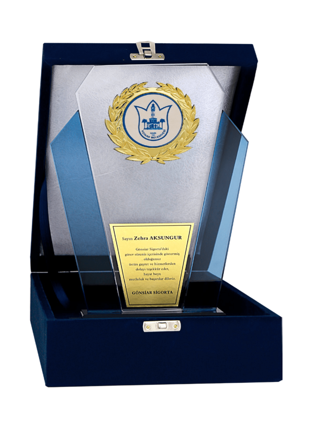 Kristal Plaket T38