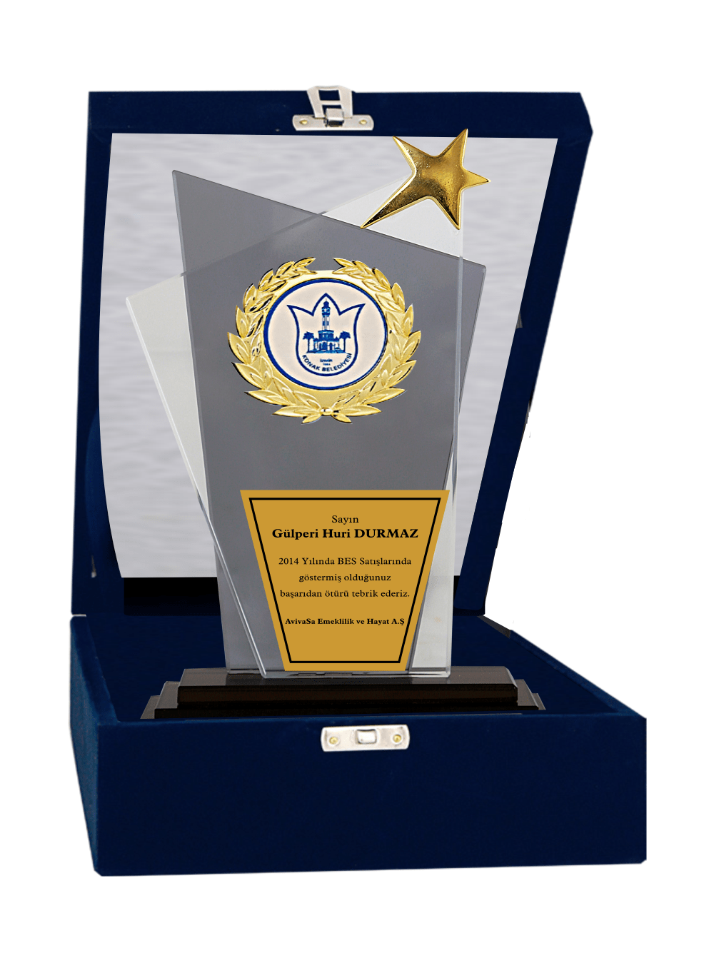 Kristal Plaket T8